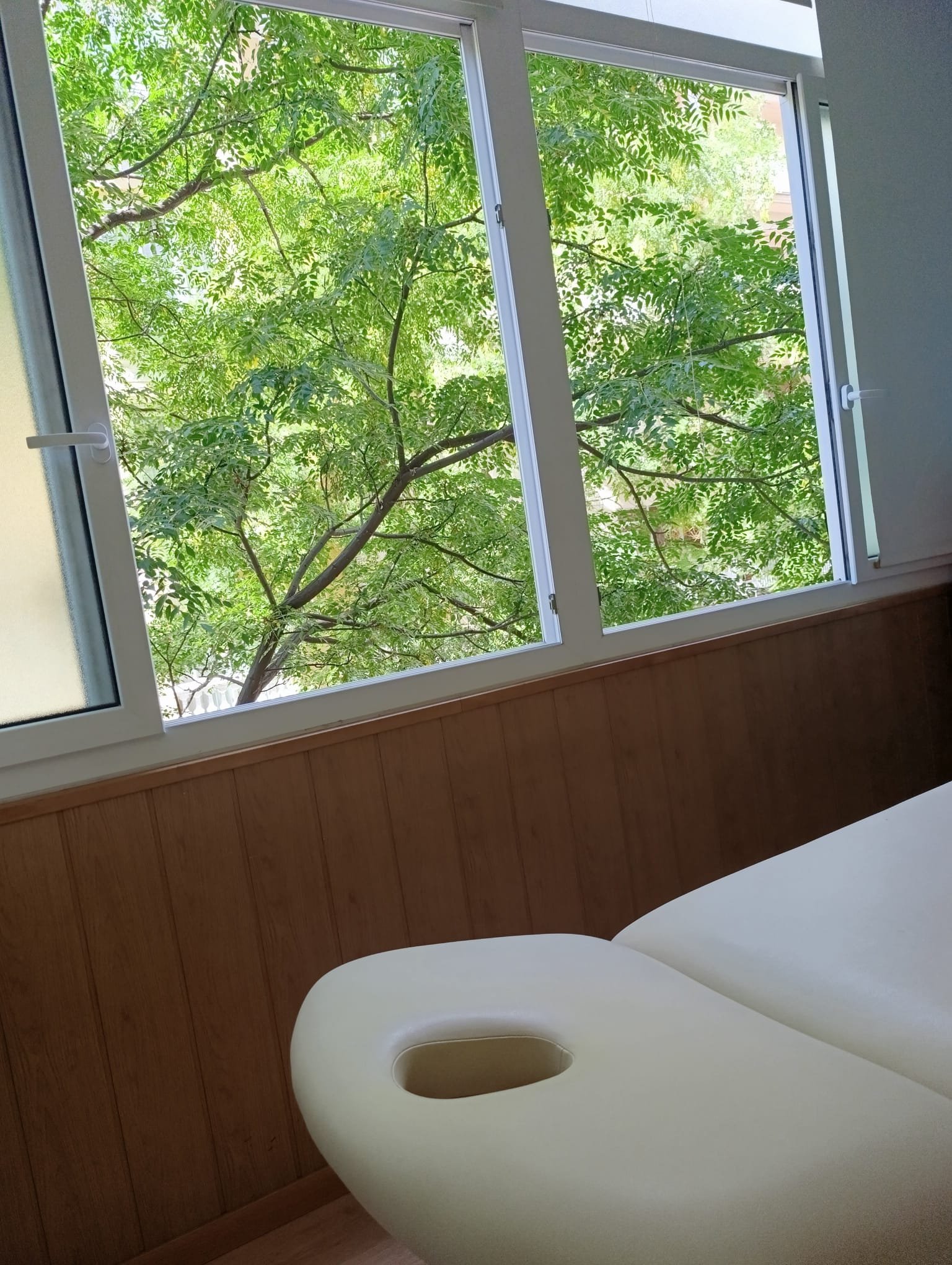 nerea fisioterapia vertical 4